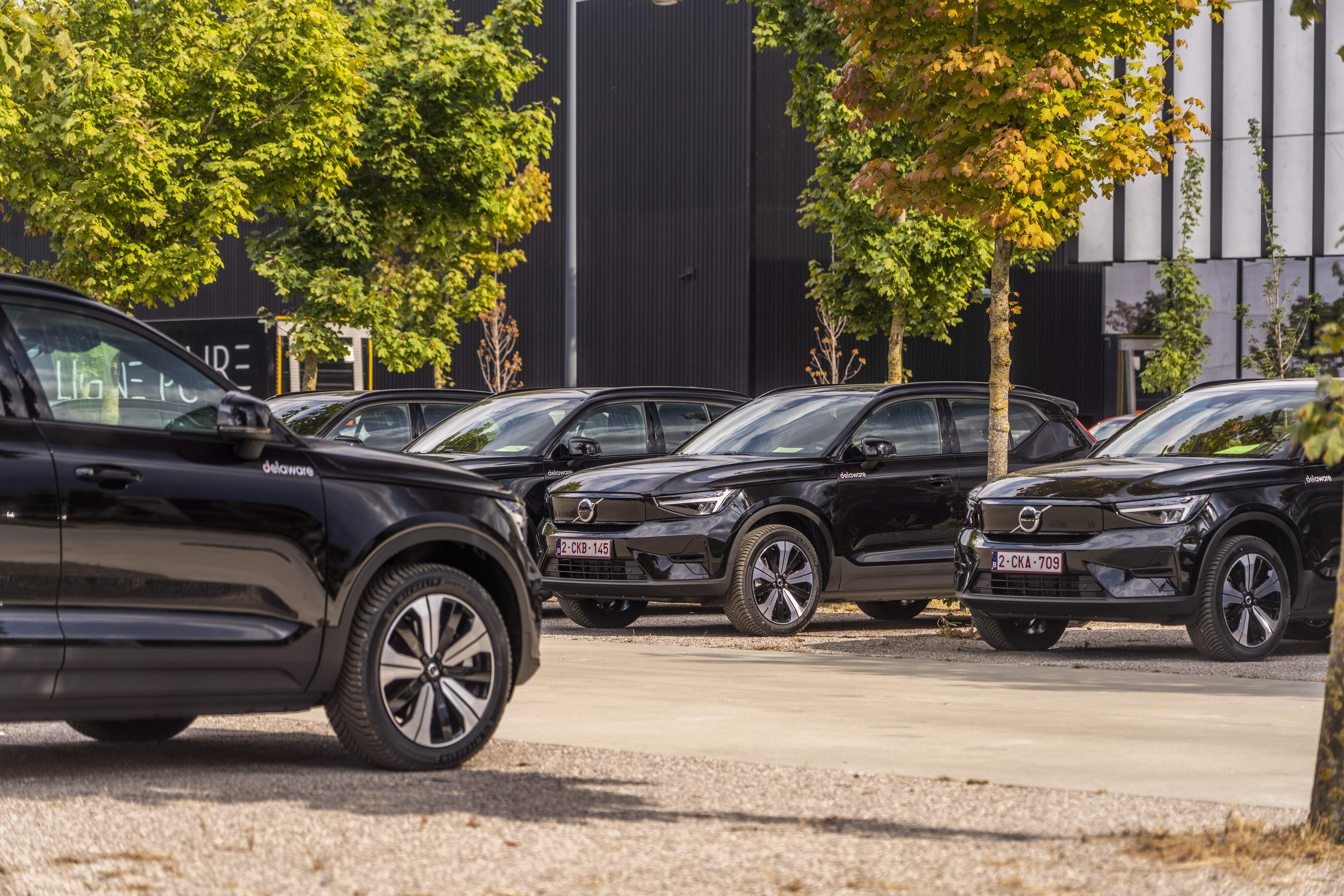 Cars parked beneath trees